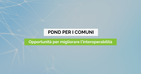 Copertina PDND opportunita