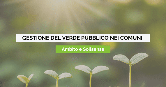 Bilancio Arboreo Ambito