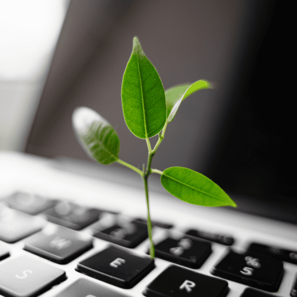 Green Ambito Srl