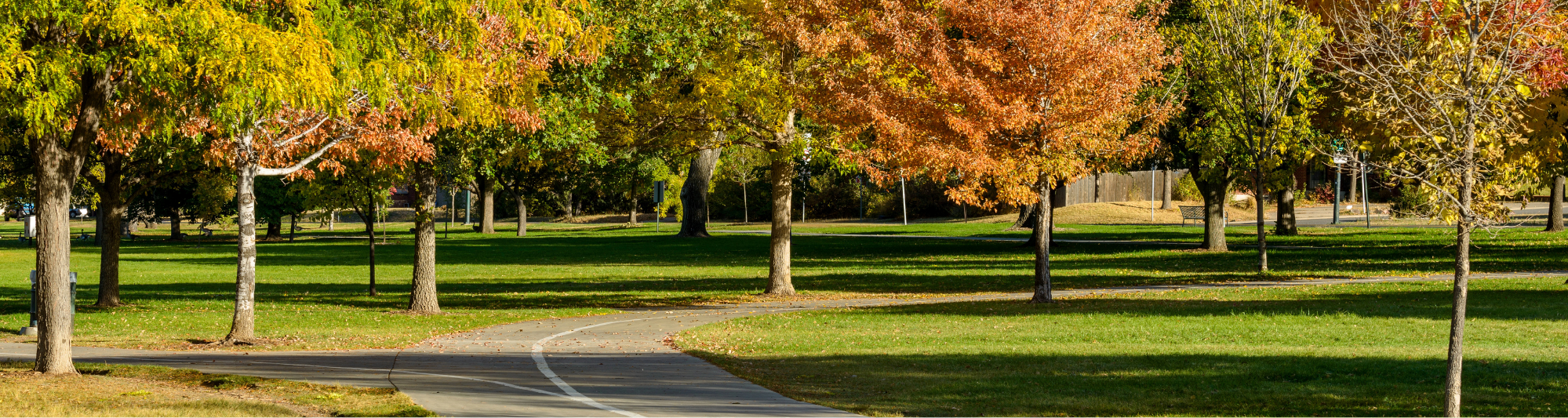 modulo Verde Pubblico