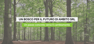 Copertina un albero per il futuro