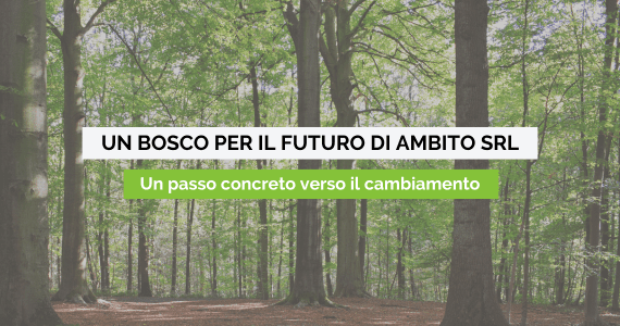 Copertina un albero per il futuro
