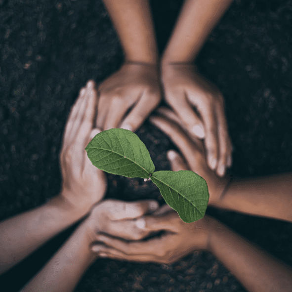 Progetto un albero per il futuro